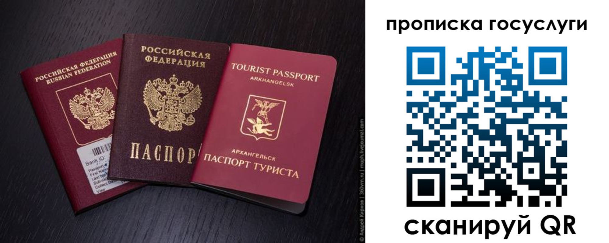 прописка 2025 в Котово